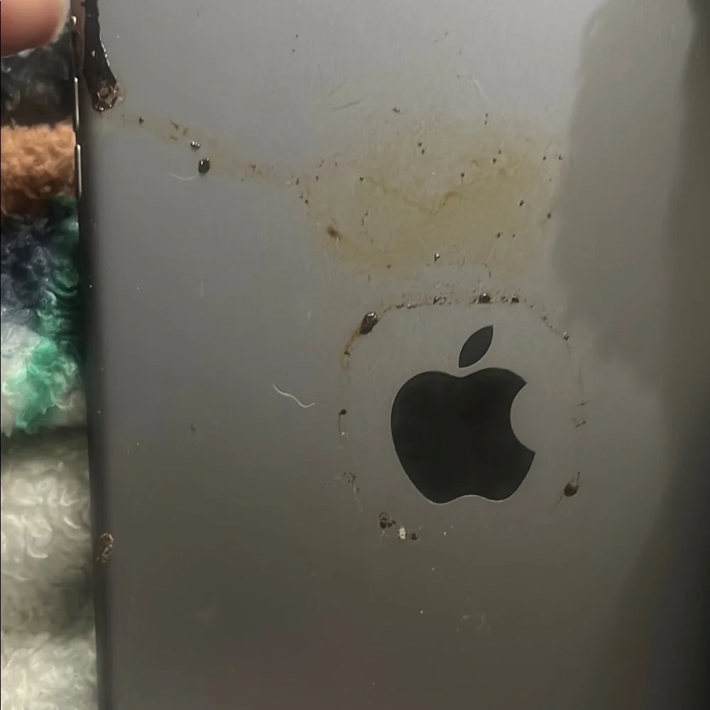 Apple Black ipad mini 2
